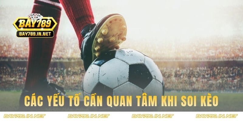 Các yếu tố cần quan tâm khi soi kèo cược